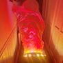 flame lamp Image 3