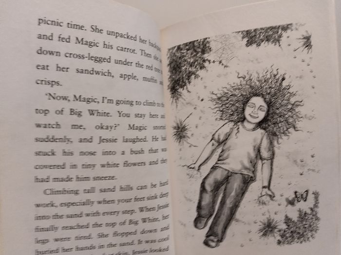 A Pony Called Magic Children,s Story Book