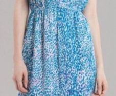 Sandro Rebelle Dress Blue Leopard