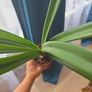 plants Image 3