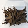 Black Guave leaves 1000ML Image 2