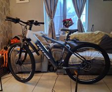 Totem everest 1 electric Bike