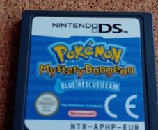 Nintendo  ds game