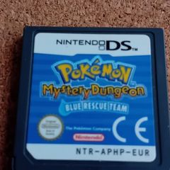 Nintendo  ds game
