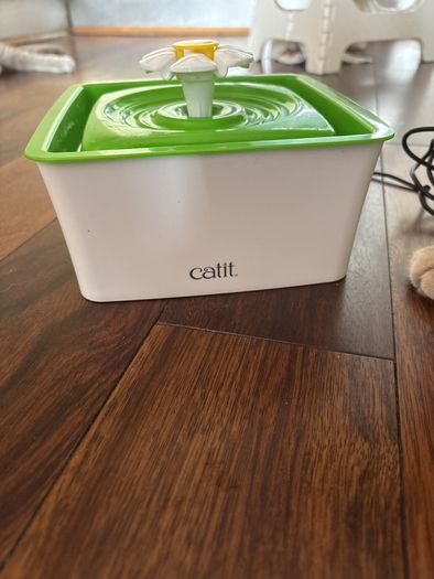 Cat Water Fauntain