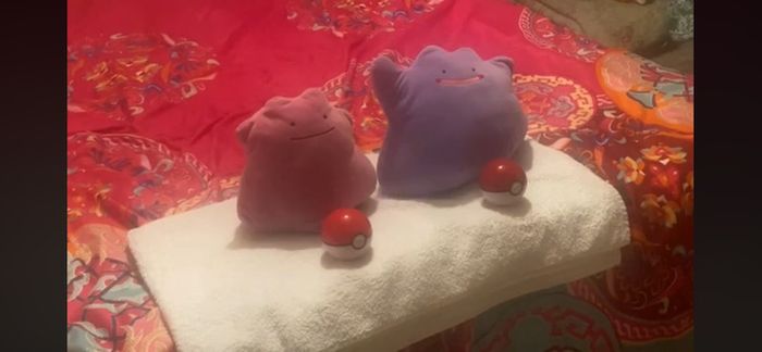 Pokemon Generation Plush Collection