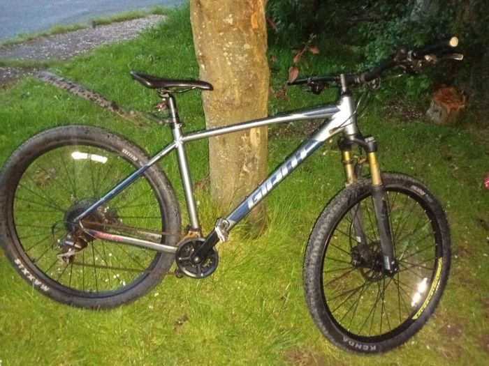 Giant bike