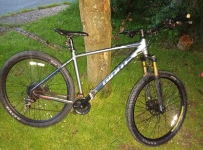 Giant bike