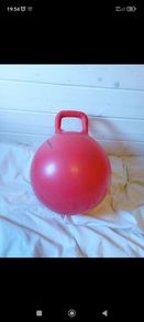 Space hopper
