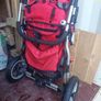 Running buggy Image 7