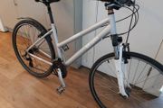 ladies city bike( can deliver)