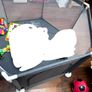 playpen Image 2