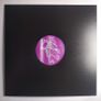 Stereogen - HI-Q + Castle Vania & Burning UP! - Vinyl Addiction Records - MULTIPLE Top QUALITY Early 90s HOUSE Bangers on ONE Vinyl! Image 10