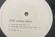 JOI - Asian Vibes - 12" Vinyl Promo Single - Way Out West / Skeewiff Mixes - 1999 Real World Records