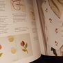 The Book of Waistcoats / Jacqueline Farrell / 1991 Image 8