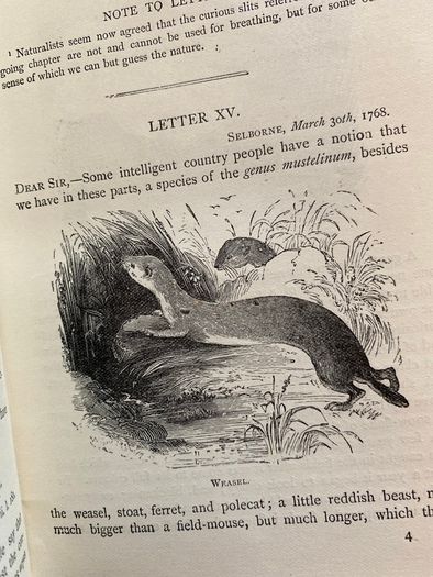 1891 The Natural History of Selborne