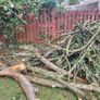 Fire wood, Logs Image 4