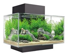 Fluval Edge 2.0 23L Aquarium Gloss Black