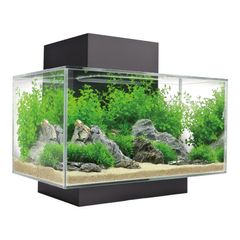 Fluval Edge 2.0 23L Aquarium Gloss Black