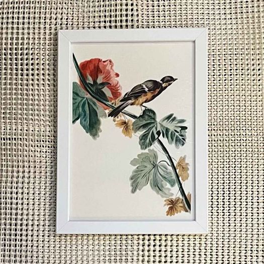 Laminate Glossy 280gsm Canvas Poster A4 Size Featuring Design for a Woven Fabric from The Smithsonian