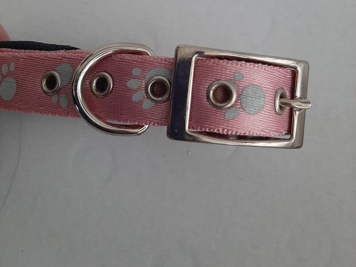 New large dog collar