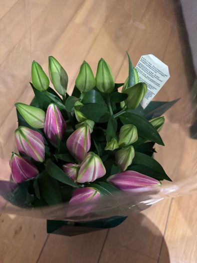 Brand New M&S Oriental Lily Bouquet (Starlight Express) - Fresh & Unopened