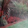 New Geoff Hamiltond year in your garden book Image 6
