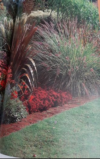 New Geoff Hamiltond year in your garden book