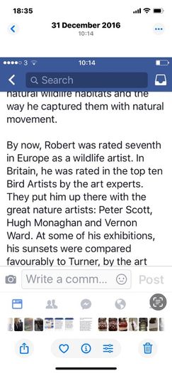 paintings
