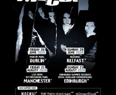 The cure (Marlay park)
