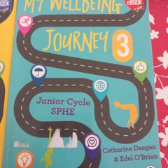 my wellbeing journey 3