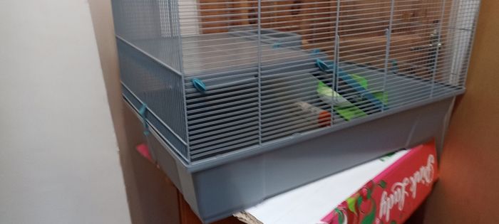 Hamster Cage