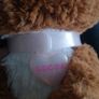 Present Pets Glitter Puppy Interactive Plush Pet Toy with Over 100 Sounds! Image 4