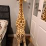 5ft Giraffe Teddy Melissa & Diug Image 3