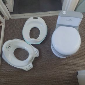 Potty and toddler seat