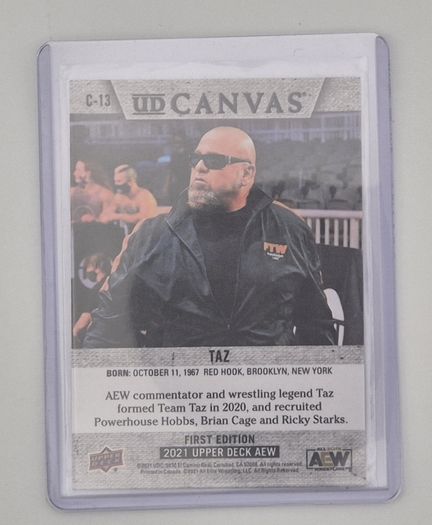 AEW Upper Deck 2021 UD CANVAS Wrestking Trading Card Bundle