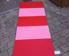 gym mats x 2