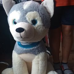 Big Dog teddy