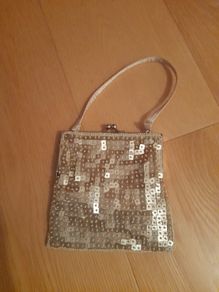 Occasion bag