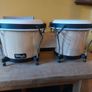 Bongos Image 2