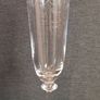 Bohemia Angela 6 Champagne Flute in box. Image 2
