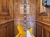 Epiphone J.Casady 2008