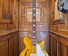 Epiphone J.Casady 2008