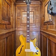 Epiphone J.Casady 2008