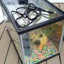 Fish tank Image 3