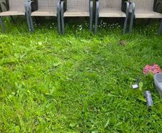 garden chairs