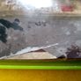 Gears of War 2 Xbox 360 games Original Image 4