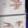 Trail Guide to the Body Workbook Image 3
