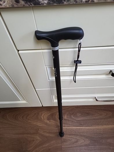 Walking stick telescopic