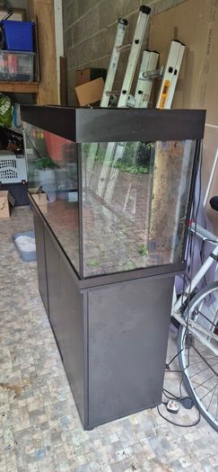 Juwel Rio Led 240 and Cabinet
